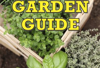 Herb Garden Guide